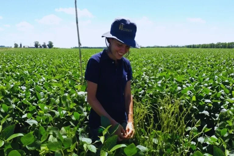 Soja bajo la lupa: menos hojas, más impacto sobre la calidad del grano