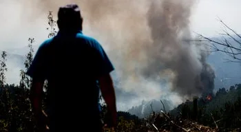 Combate às chamas em Proença-a-Nova mobilizou mais de 800 bombeiros