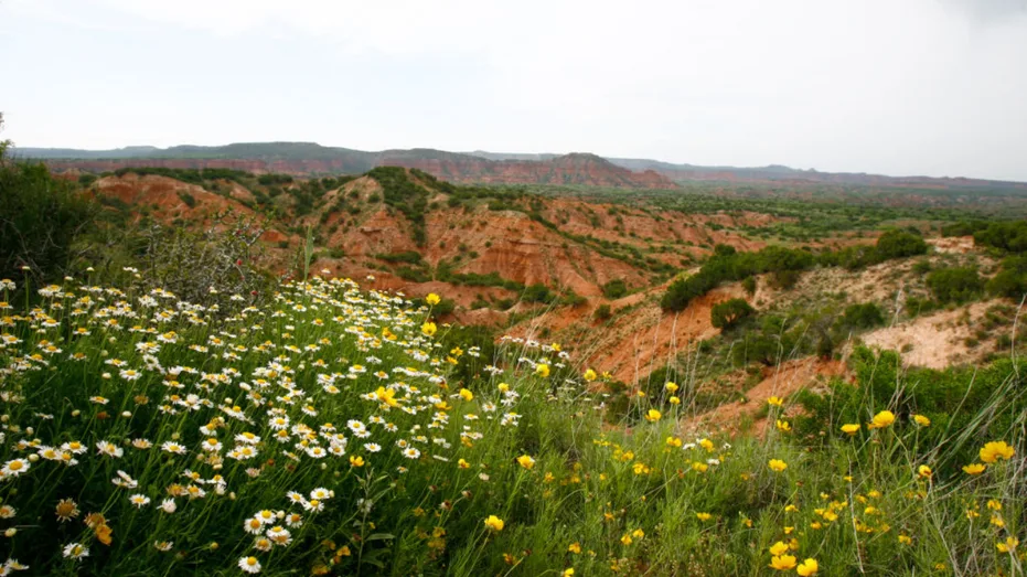 Best hikes to try around Lubbock ahead of Texas Tech's week one matchup with Abilene Christian