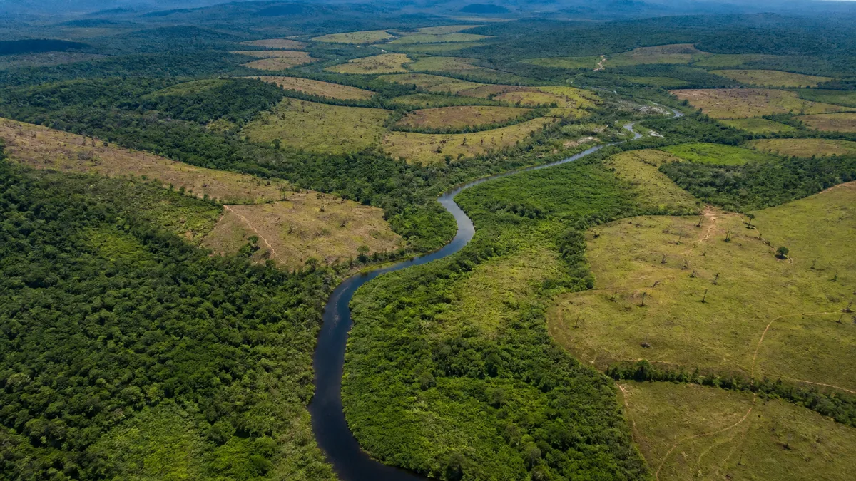 Consulta pública avança concessão da Flona de Altamira no Pará