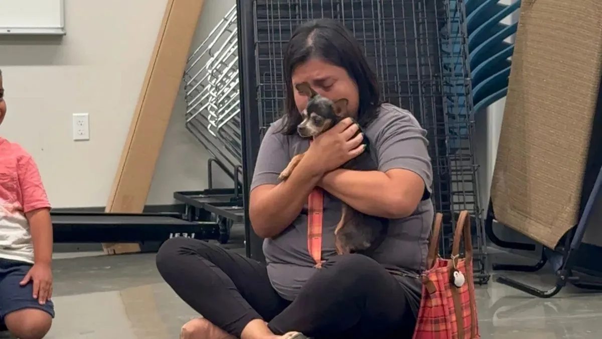 Cachorra desaparece quando dona ainda morava no carro e passa 12 anos desaparecida, mas, depois que um mau tempo atinge a região por onde ela vagava, pode finalmente voltar para casa