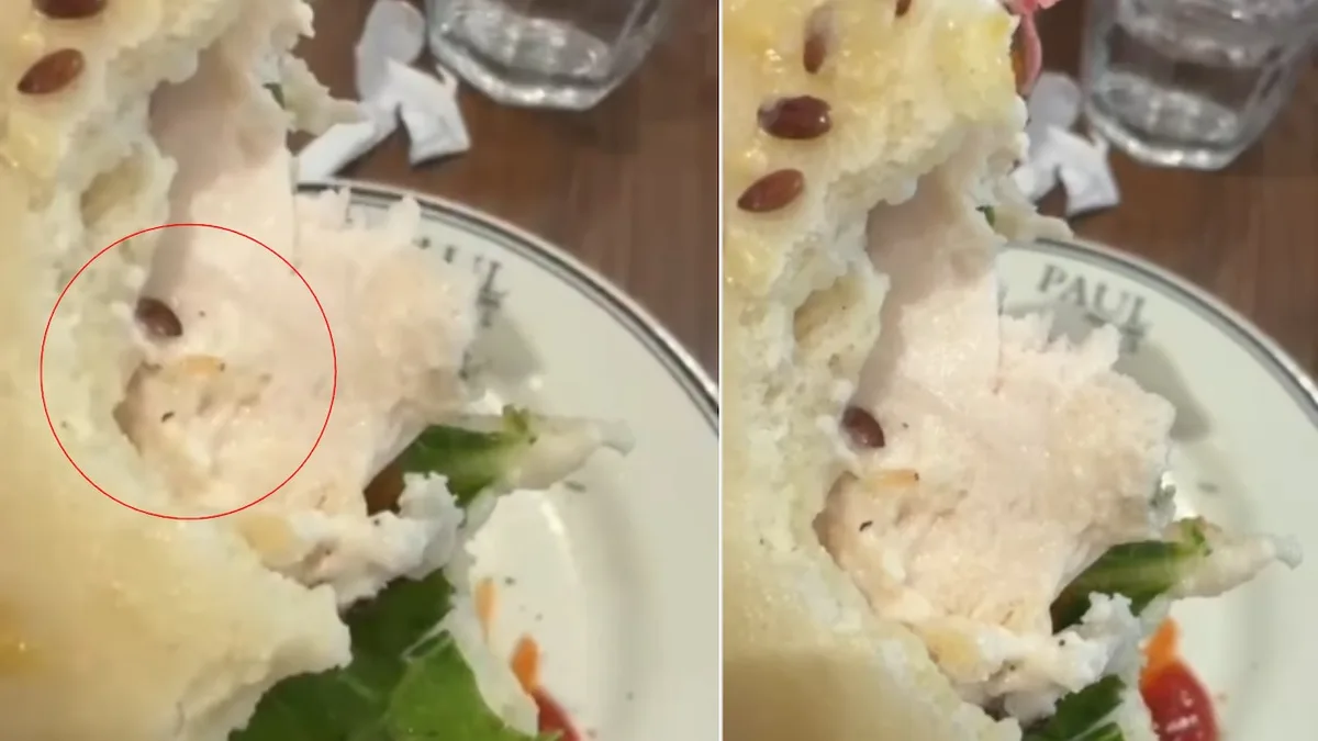 Video: Live Worm Found In Sandwich At Posh Gurugram Restaurant