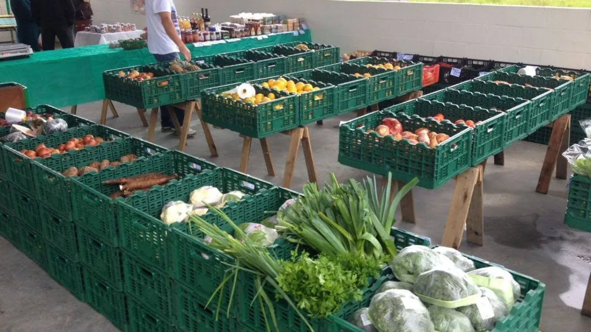 Reforma do Ceasa de Joinville avança e licitação deve destravar unidade aguardada por agricultores há anos