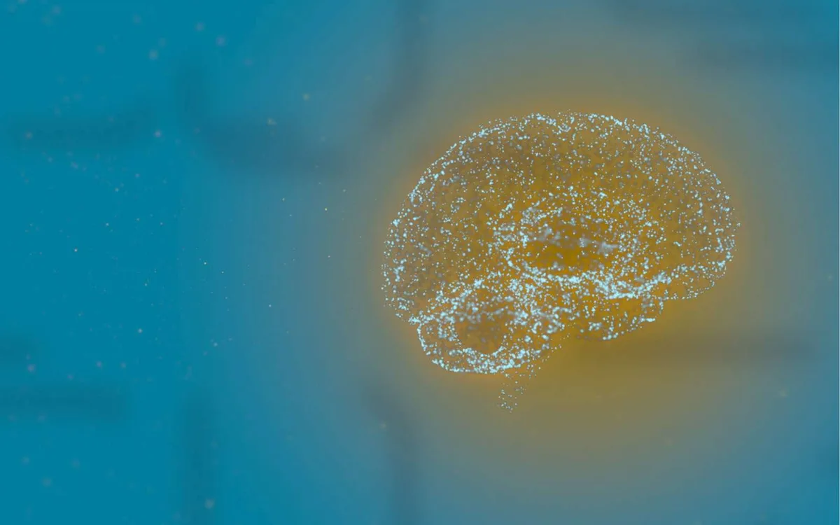 C’est pire que prévu : le cerveau accumule jusqu’à 30 fois plus de microplastiques que certains organes