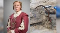 Marte ganhou uma batata como lua depois de um impacto violento modificar o formato original de Deimos; cientistas agora recriaram como tudo aconteceu