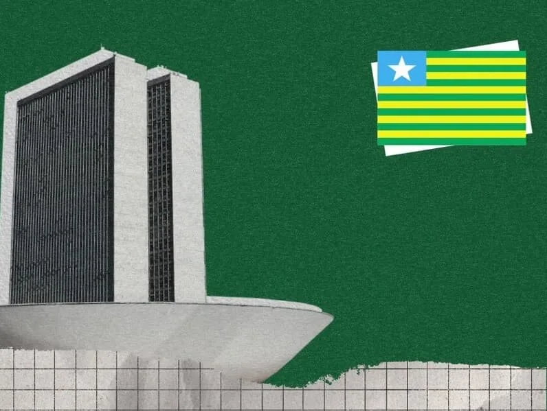 90% dos deputados federais do PI buscam reeleição entre 162 candidatos