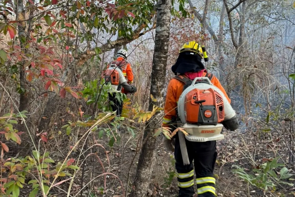 Chapada dos Veadeiros: incêndio chega ao 3º dia e atinge 1,8 mil hectares