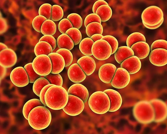 Gonorrhoea and syphilis rise by more than 50% in Australia with ‘concerning’ rise in cases in women