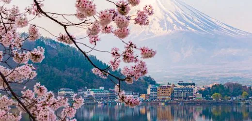 Brettspiele für Fernweh-Fans: Mit Japan-Spielen an den Spieltisch reisen