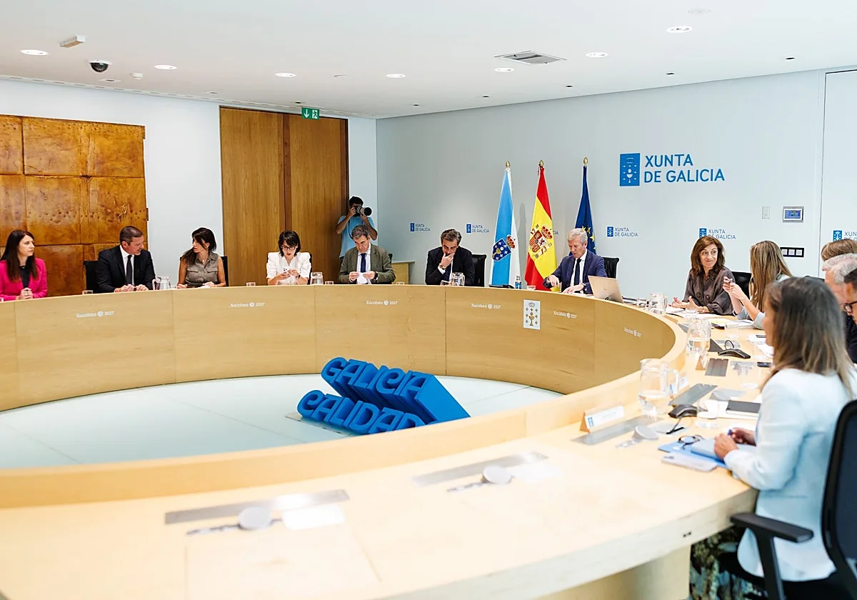 La comprensión lectora será «transversal» en toda Primaria y tendrá una materia específica en la ESO