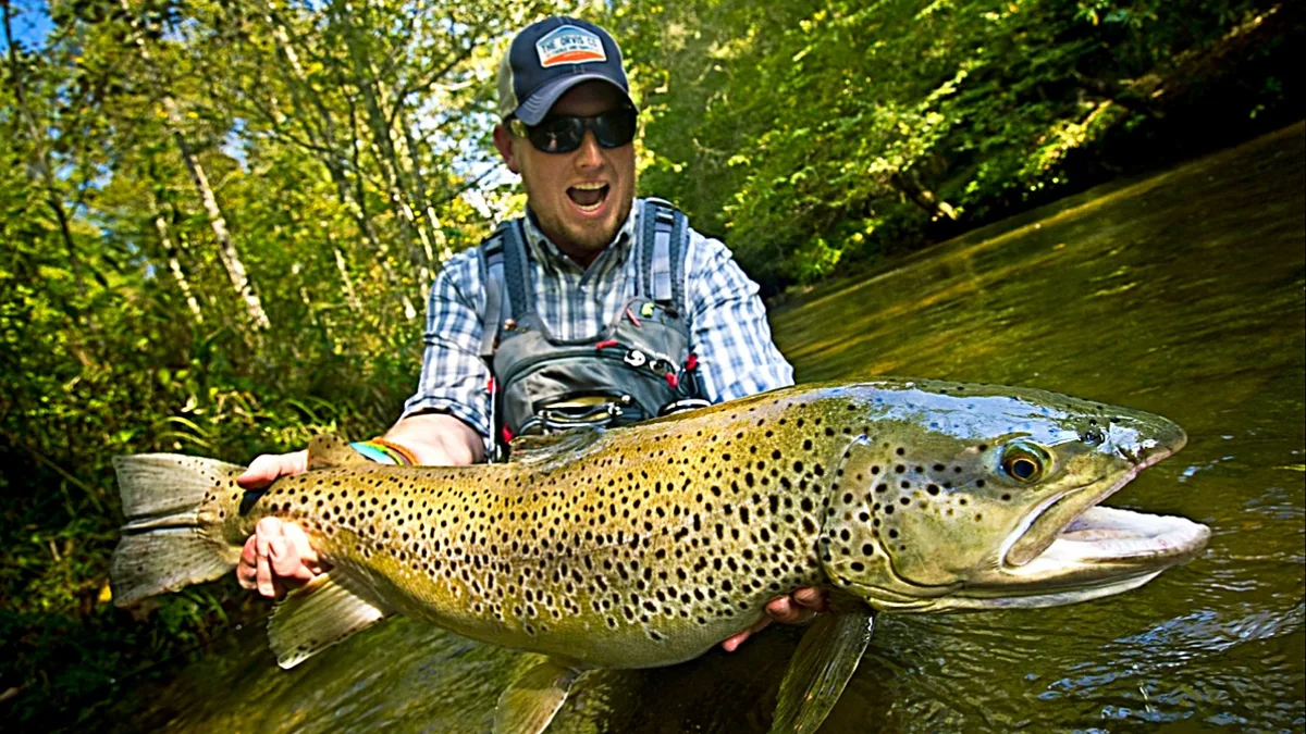 In 1867, New Zealand introduced brown trout for sport fishing; more than 60 million were released