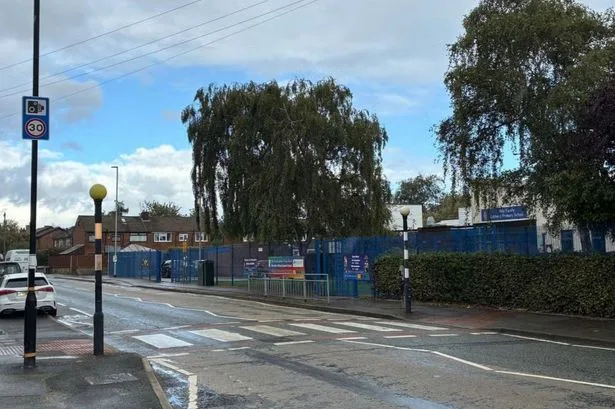 Elderly lollipop man struck by car on crossing in front of primary school pupils