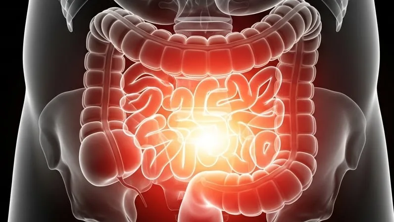 Limpieza del colon: cómo se hace, qué beneficios reales tiene y cuándo es necesaria