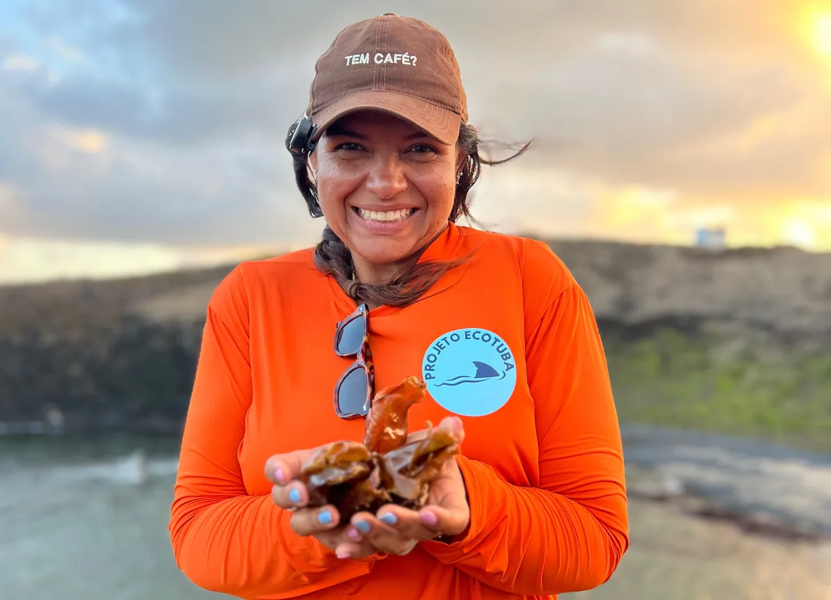Pesquisadora encontra 16 cápsulas de tubarão-lixa em Fernando de Noronha