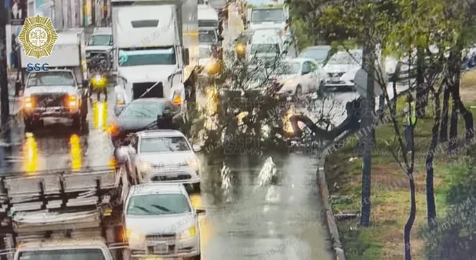 Bloqueos en carreteras y accidentes hoy martes 12 de mayo: Manifestantes bloquean la Av. Guadalupe Ramírez y Antiguo Camino a Xochimilco