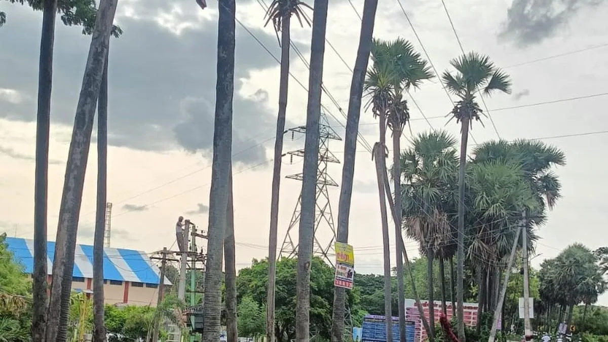 Environmentalist opposes laying of cement opposed along a culvert