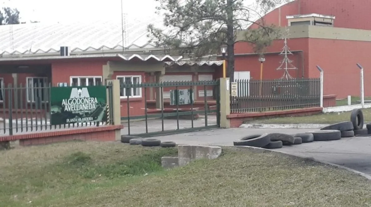 La Justicia santafesina abrió el salvataje para evitar la quiebra de Algodonera Avellaneda, de la familia Vicentin