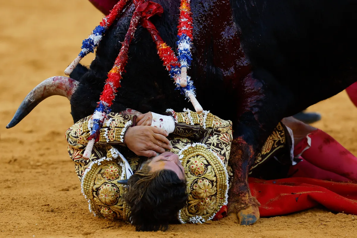 Morante vuelve a nacer entre la incomprensión; triunfan Roca Rey y Miranda en Málaga