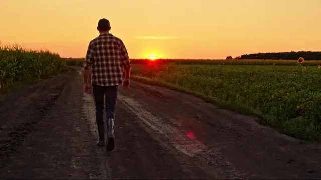 Jovens agricultores obrigados a ter outra fonte de rendimento