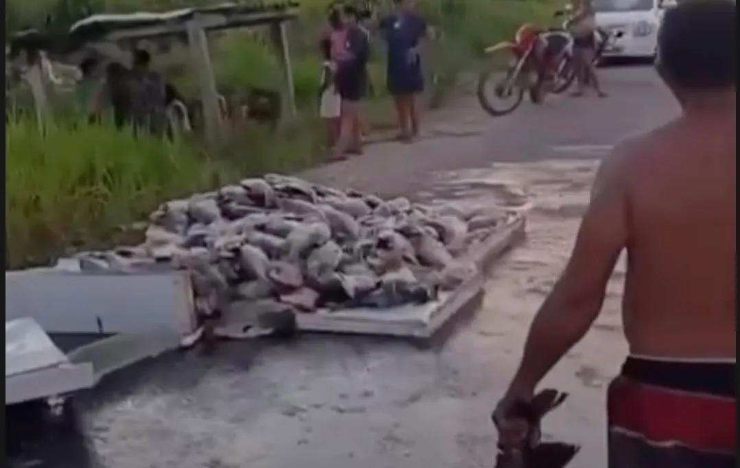 Caminhonete capota na BR-364 e espalha carga de peixes em trecho de Tarauacá