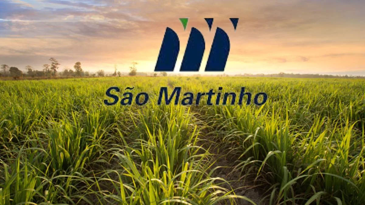Peso do El Niño na São Martinho (SMTO3) é menor do que parece: XP eleva recomendação e vê valorização de mais de 50%