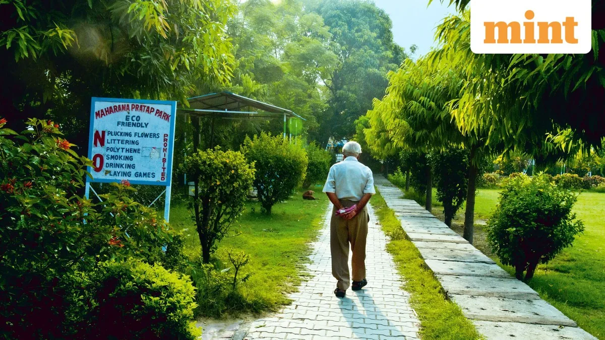 SCSS: How much should a senior citizen invest to earn ₹25,000 every quarter at 8.2%?