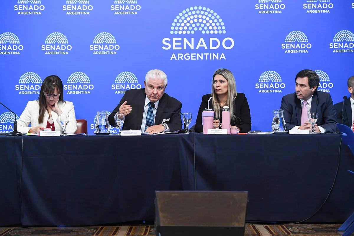 Senado: aliados de la UCR, el PRO y el PJ disidente frenaron el dictamen del Súper RIGI