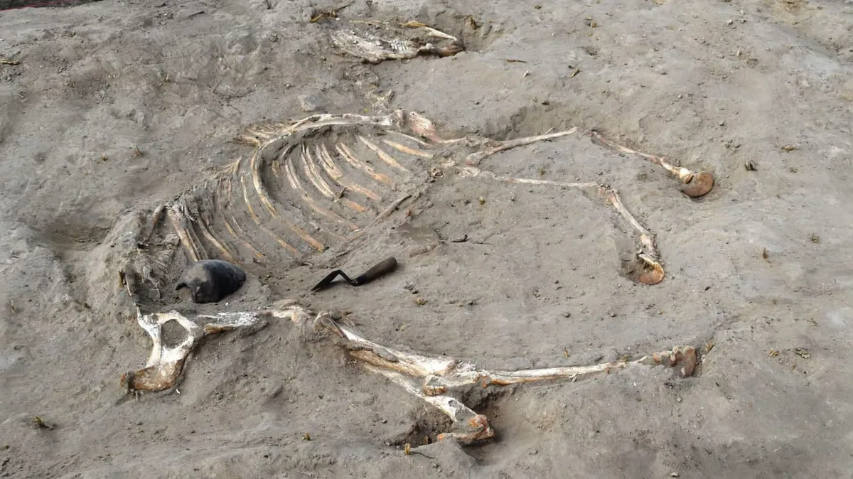 3,000-year-old burial of ancient Egyptian horse found — and a nearby stone carving depicts a captured prisoner