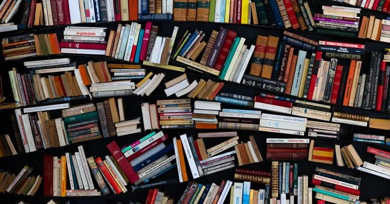 14 portugueses semifinalistas de prémio literário Oceanos