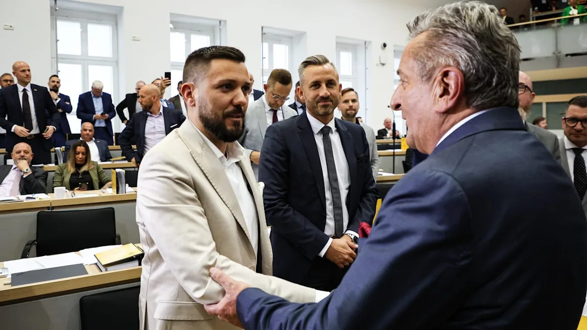 Rätsel um geheime Stimmen - Die drei Theorien über die heimlichen AfD-Helfer