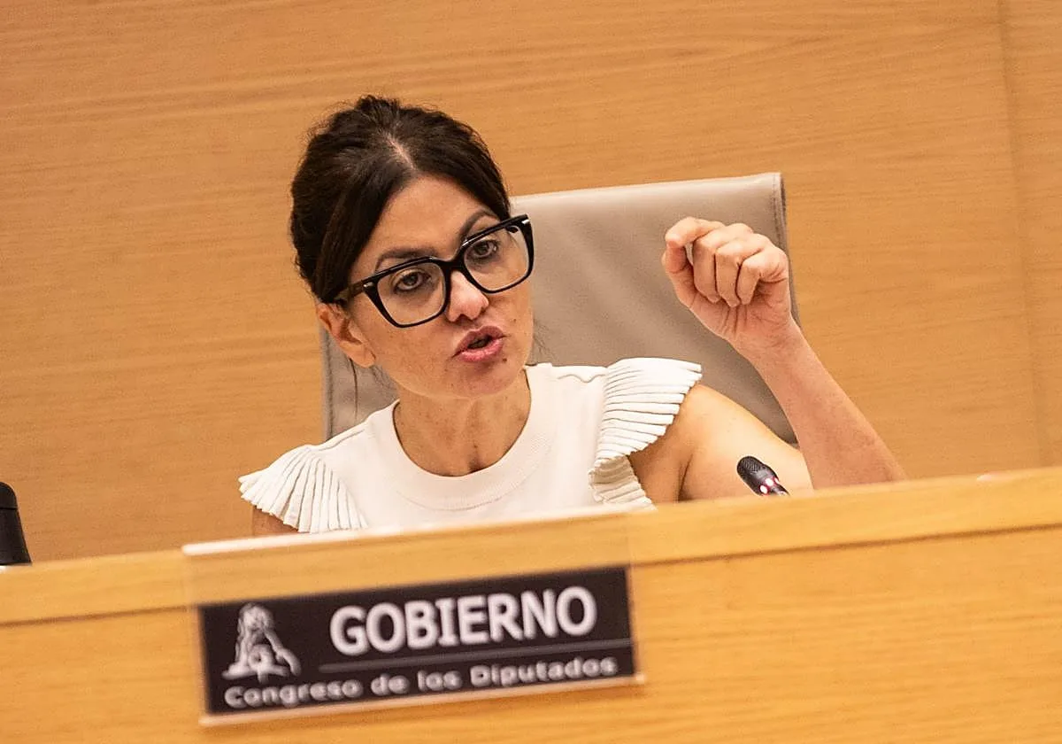 El Gobierno reconoce que la mayoría de menores inmigrantes de Ceuta «se quieren quedar» y «se van a quedar» en España
