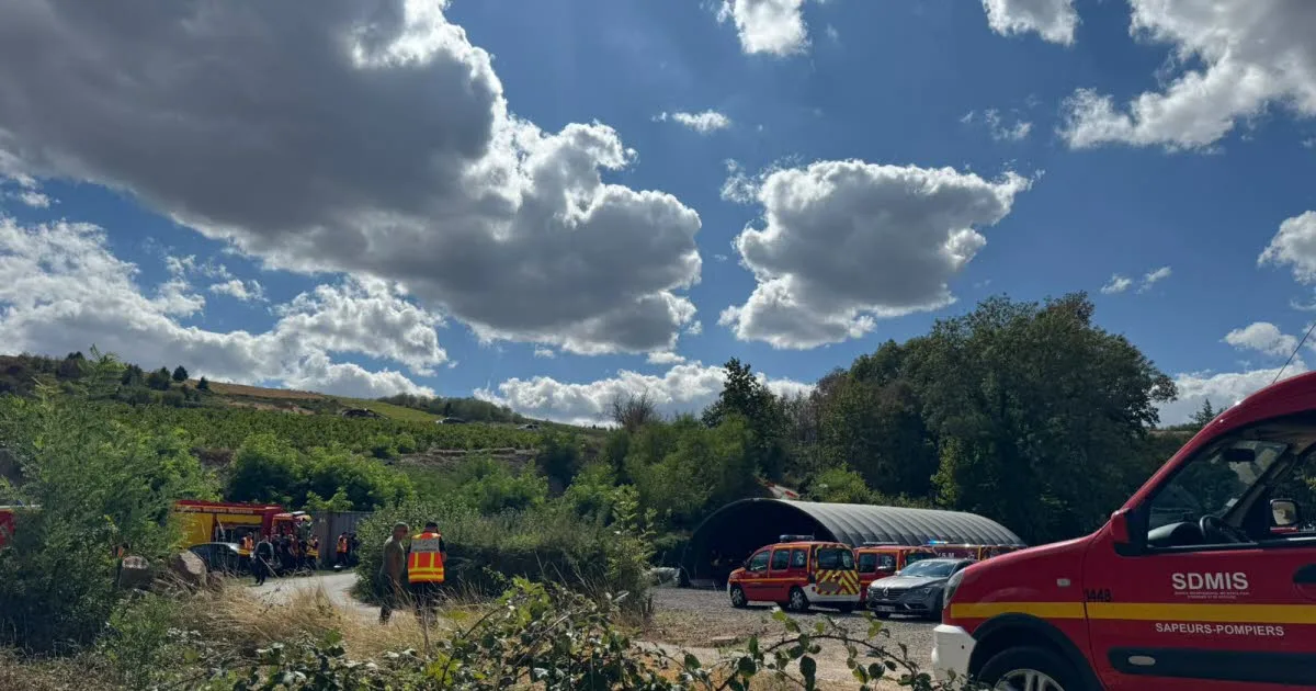Rhône. Vendanges endeuillées dans le Beaujolais : ce que l’on sait de l’accident qui a fait un mort et 9 blessés