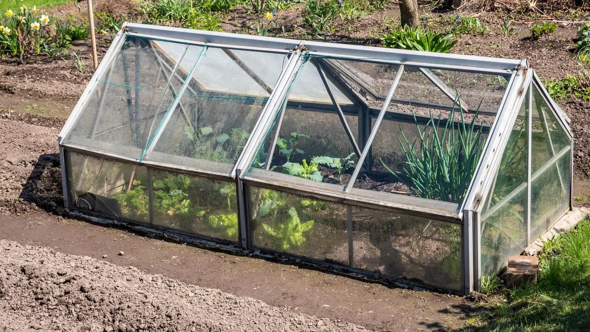 Garten-Hack: Molliges Mikroklima: Wie eine Gewächshausheizung zarte Pflänzchen beschützt