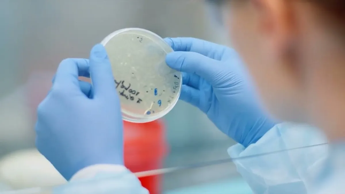 Mercado de bioinsumos deve fechar 2026 com alta de 7% em valor e 10% em volume