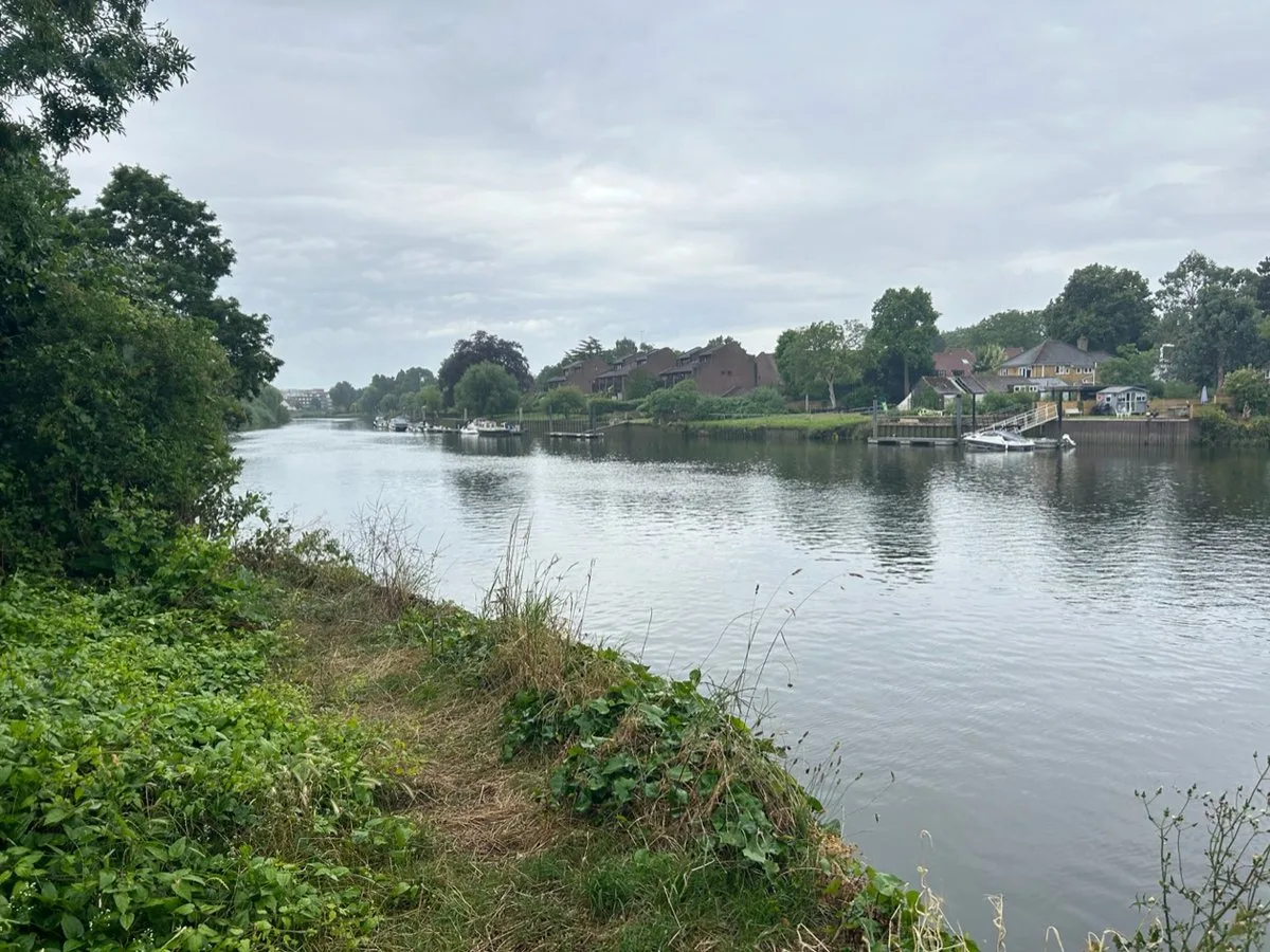 Swimmers warned to avoid London's first official Thames bathing spot over toxic algae