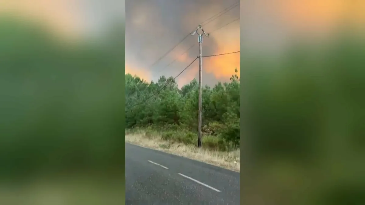 "La situation est défavorable": l'incendie dans les Landes a parcouru 400 hectares, menant à l'évacuation de 400 personnes