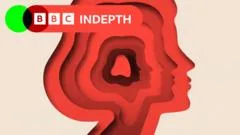 A split in the spectrum? The ongoing battle to define autism
