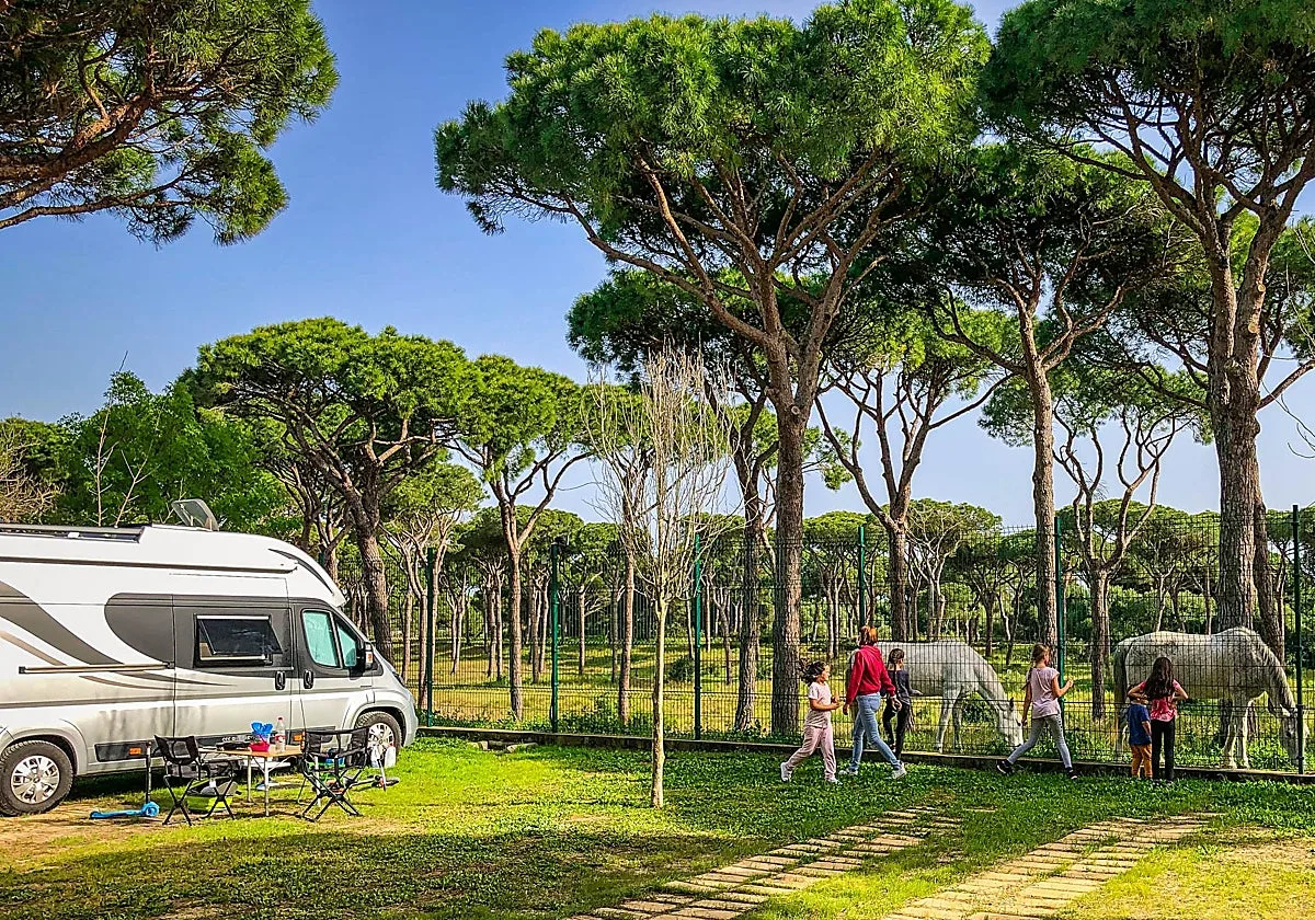 El camping de Andalucía con bungalows, piscina y acceso directo a una de las mejores playas del Atlántico