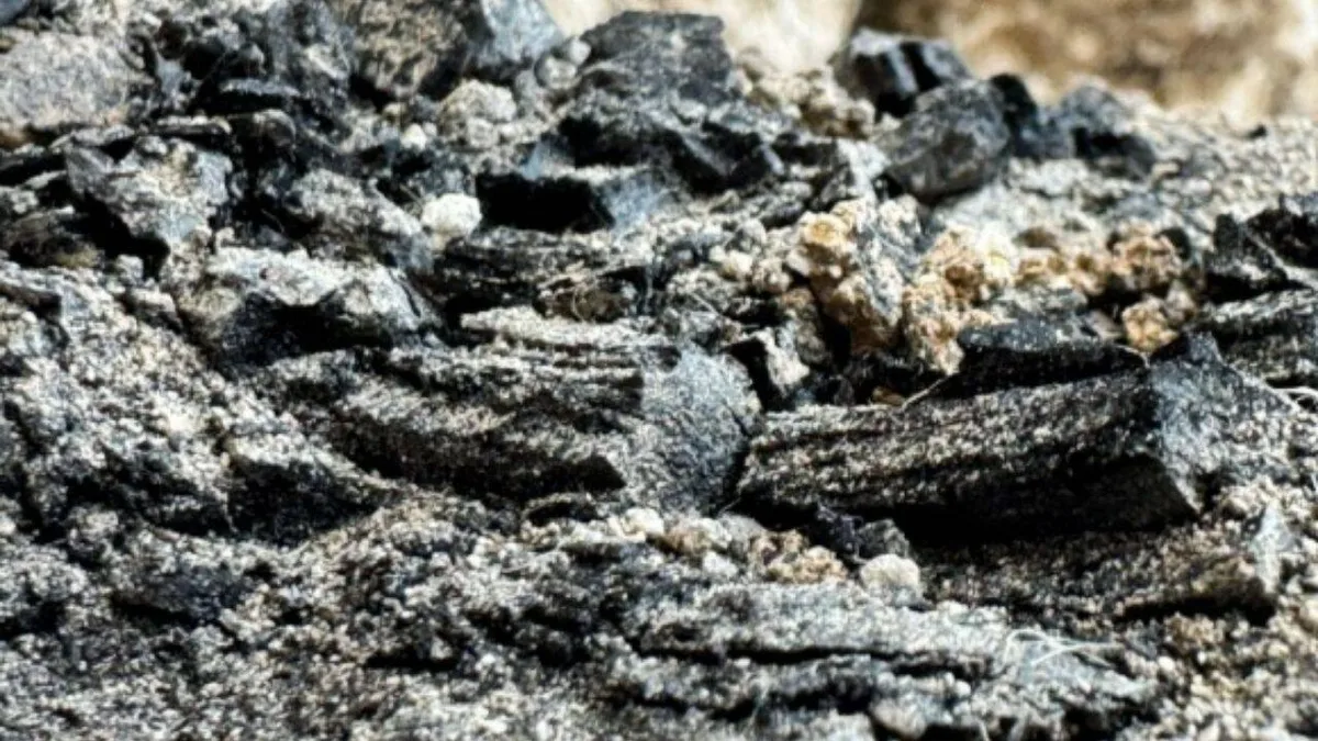 A wooden relic that survived the sack of Jerusalem's First Temple was unearthed by archaeologists, now they are finding shocking answers