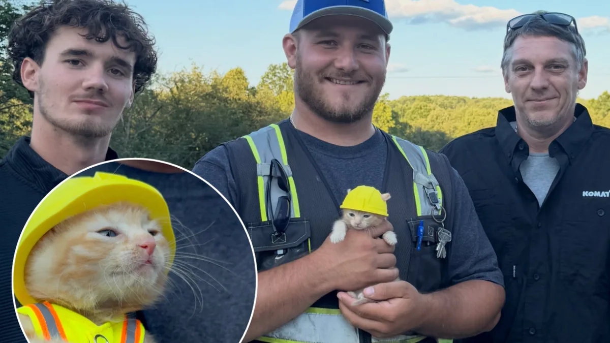 Ohio workers rescue kitten from excavator; now she has a hard hat and a job