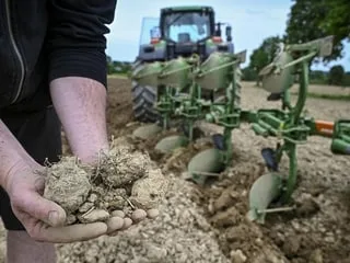 Météo : les températures estivales se prolongent à l’automne, mais quand va-t-il pleuvoir en France ?