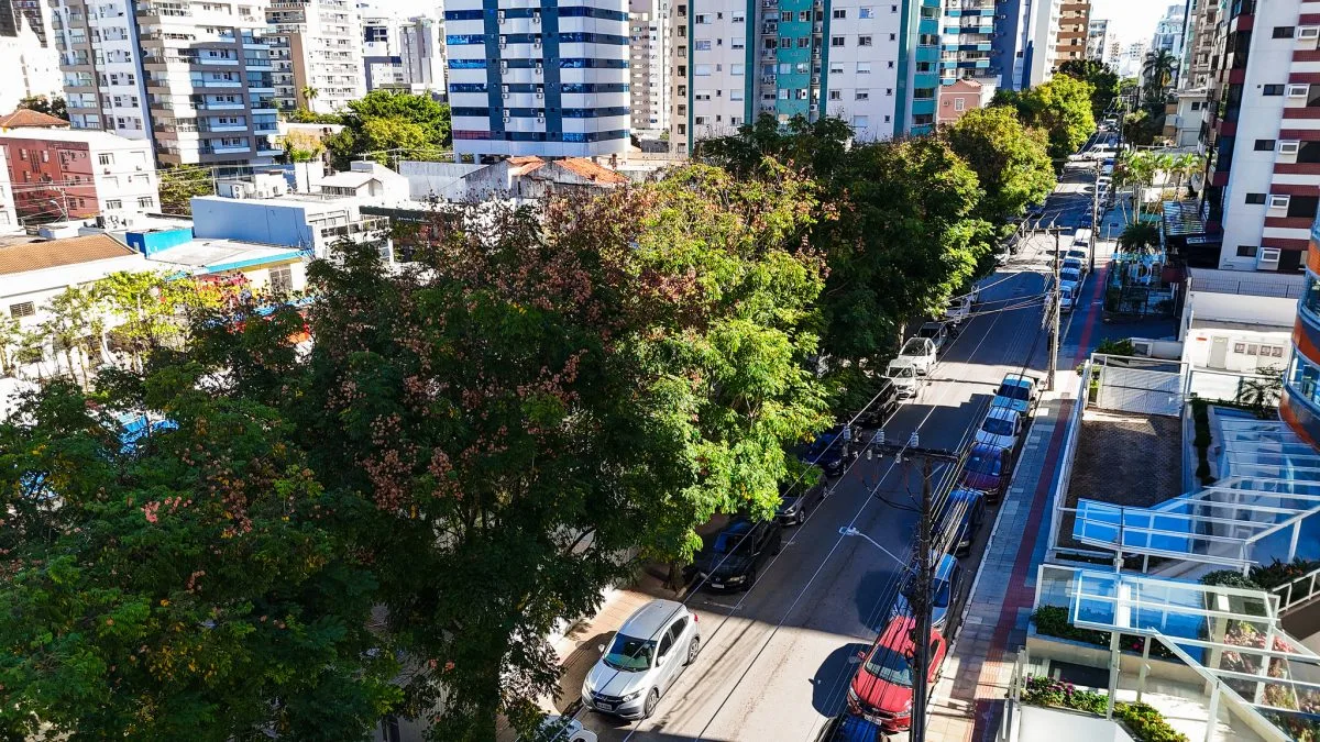 Florianópolis avança no plano de arborização urbana em meio a novas regras e desafios climáticos
