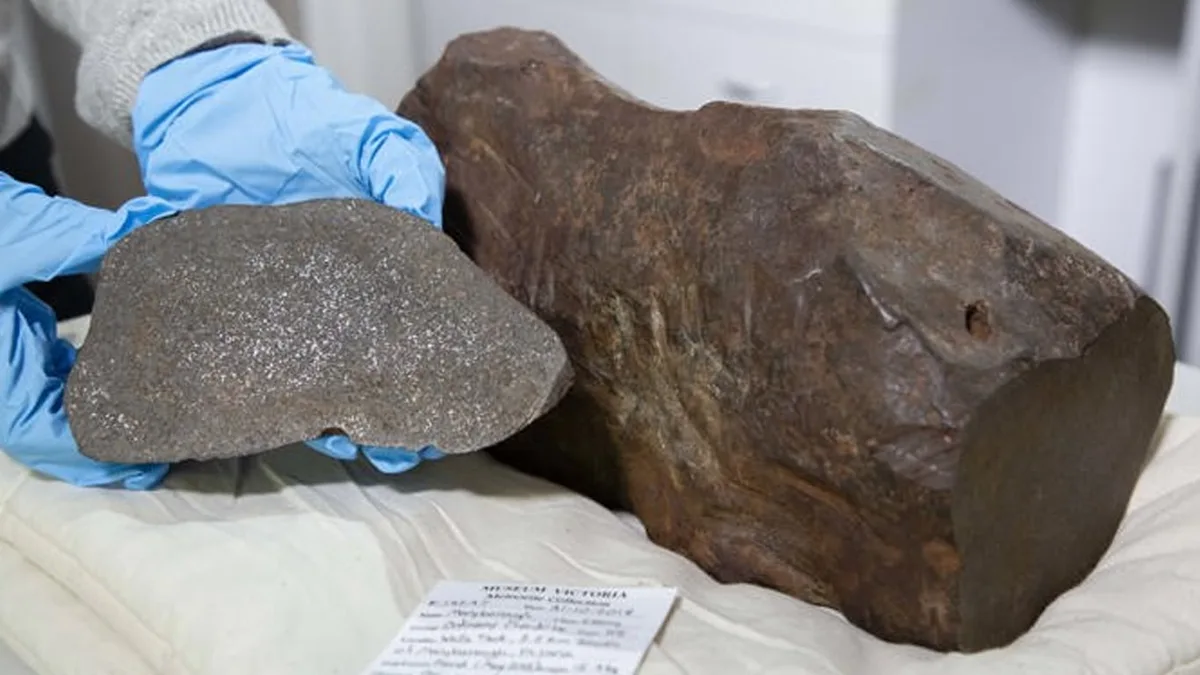 Pensó que era una roca de oro de 17 kilos y la llevó a su casa: era un meteorito de hace 4.600 millones de años