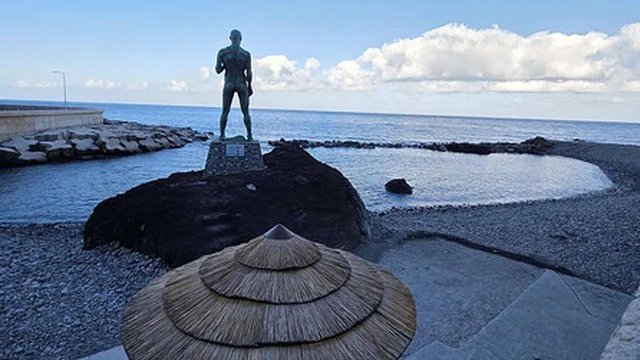 Junta do Paul do Mar esclarece presença de anémonas na Praia da Quebrada