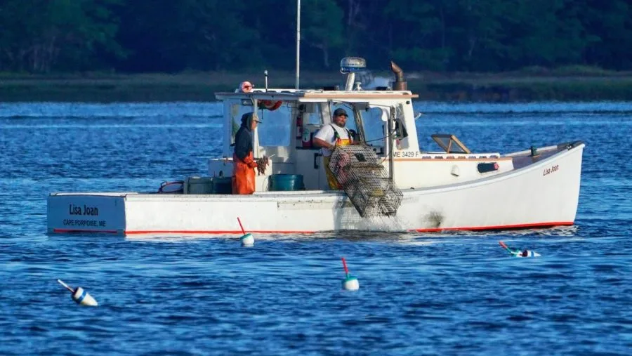 Maine Lobstermen's Association fears becoming 'collateral damage' in Canada tariff war