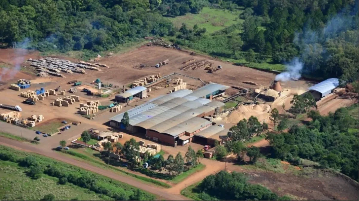 Quebró una maderera líder en la producción de pallets y ordenaron la incautación de sus bienes