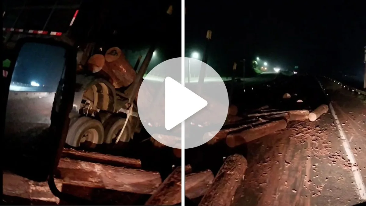 Faixa da BR-101 é interditada após carga de toras de madeira cair sobre a pista e causar acidente em SC