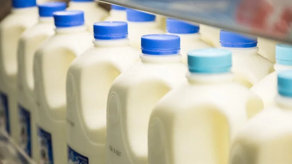 Microsoft President Says Milk and Washing Machines Face More Safety Regulations Than AI