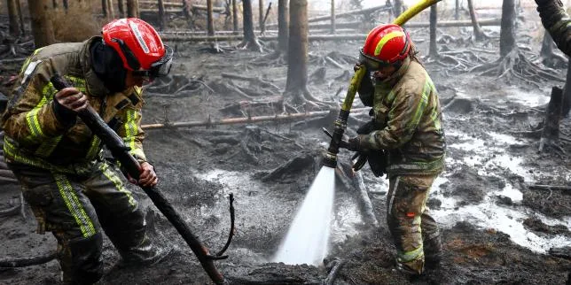 Incendie en Belgique : les pompiers veulent « encercler définitivement » le feu historique d’un parc naturel