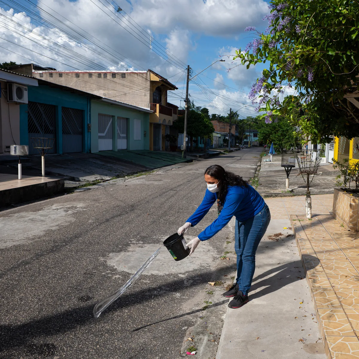 A City Mobilizes Against a Stubborn Health Threat: Mosquitoes